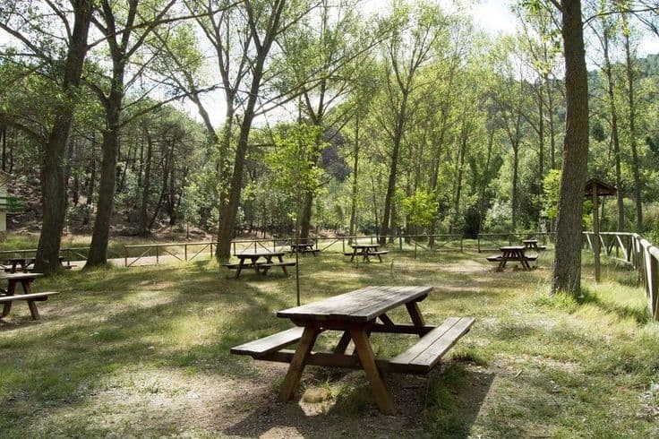 Premium Picnic Zones